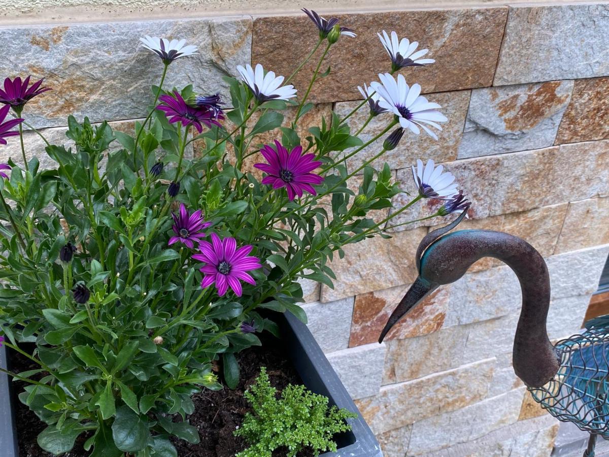 אגר Margareta Garden Boutique Rooms מראה חיצוני תמונה
